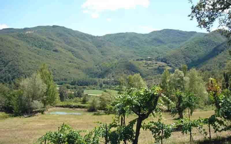Villa Il Corniolo Morra Luaran gambar